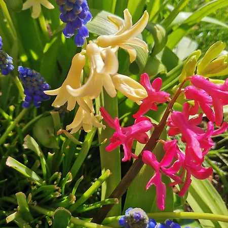 Appartamento Magellana Breslavia