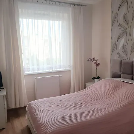 Magellana * Вроцлав