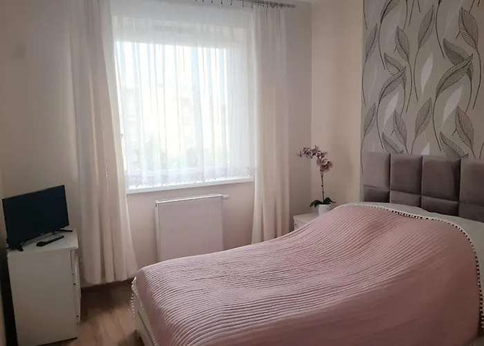 Magellana * Вроцлав