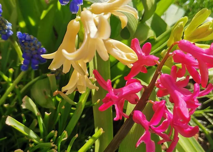 Апартаменты Magellana Вроцлав